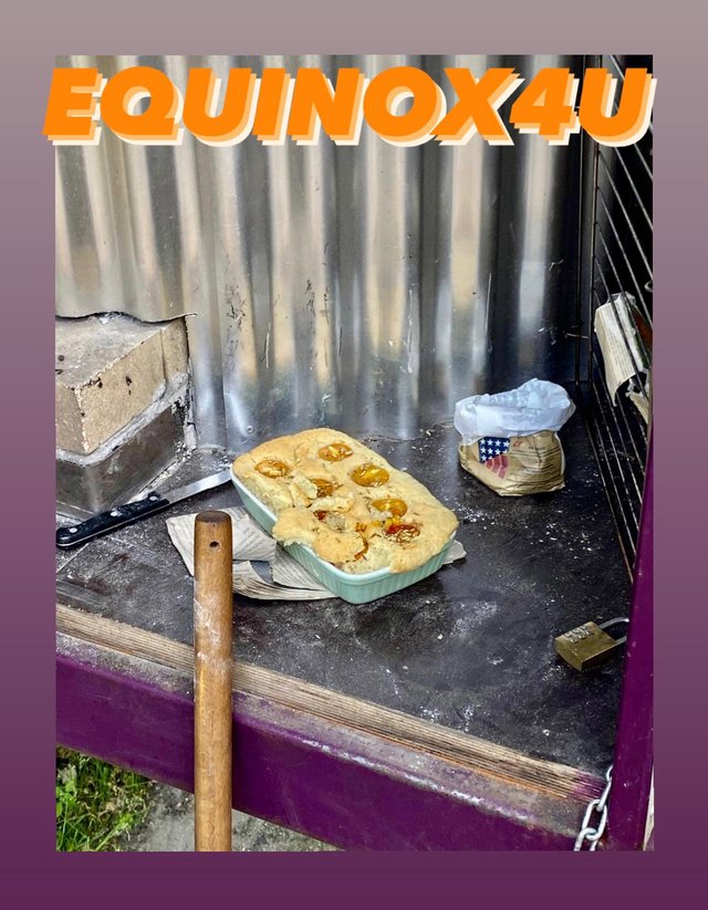 🌞🔥🌝 EQUINOX 4 U 🌞🔥🌝